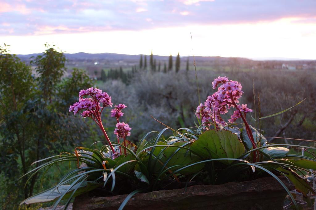 Bella Di Ceciliano Bed & Breakfast Арецо Екстериор снимка